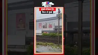 Mumbai Local Train | Vasai Virar Rain News | Rain Live update | Vasai | IMD | Rain | Vasai | Virar