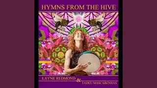 The Garden of the Hive