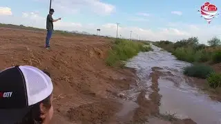 FLASH FLOODING in Stanfield, AZ (9/12/23)