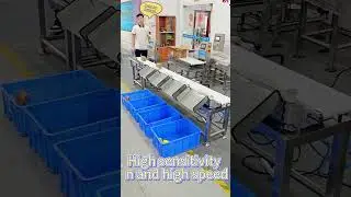 4-levels weight sorter weighing sorting machine 4-levels graders#grader #sorter
