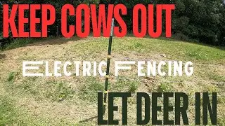 Electric Fencing To Keep Cows Out Of Food Plots | Let Deer In | Food Plot Series