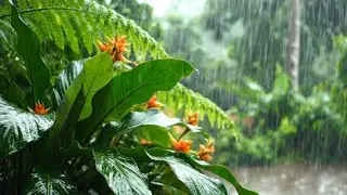 One Hour Relaxing Music & Rain Sound | Music for Deep Sleep, Insomnia & Stress Relief