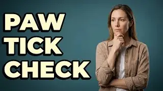 How Can I Inspect My Dog's Paws For Ticks?