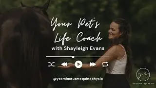 Your Pet's Life Coach with Shayleigh Evans