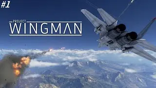 Project Wingman #1 Black Flag (Operation Red Current) With F/S-15 *Max Graphics*
