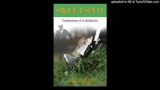 Sweetspot Journal Sample