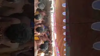 Shiva Shamli padi Pooja#subscribers #akashfamily #trending 