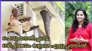പെരും തേനീച്ചയെ എളുപ്പത്തിൽ ഒഴിപ്പിക്കാം /theneecha krishi/perum theneecha/harshas nest