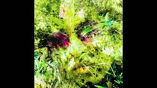 LIVE ELECTRONICA MIX; Music Inspired By Techno, House, Electro and Ambient; For Energy + Movement