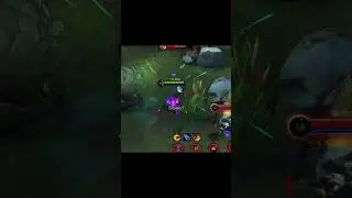 Top Immune // Chou