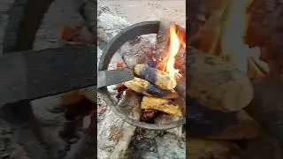 Roasting plantain in the village | Cooking & Real Life