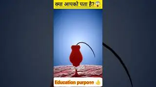 Earbuds se behre ho sakte hain? 😱#shorts #earbuds #deepsleep #science #biology #shortsfeed #india