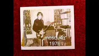 Robert Markley - Mosquito 1976 / #progressiverock