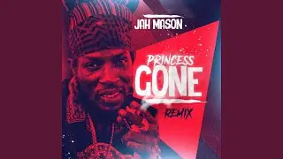 Princess Gone (Remix)