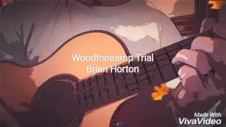Woodtoneamp Trial Run - Brian Horton