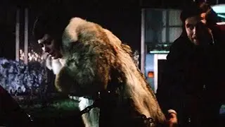 112 Italian movie with a woman in fur coat