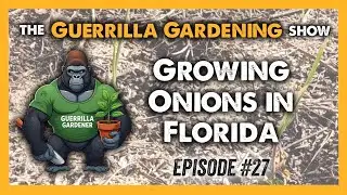 Growing Onions In Florida | Guerrilla Gardening Show Ep #27