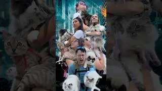 Super Powered Cat saving NYC  - CATVENGERS #cat #catlovers #funnycat #funnycatvideos