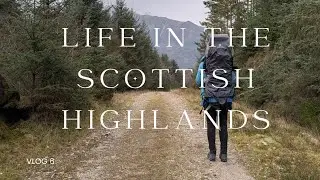 Life in the Scottish Highlands | woodland walks with a baby