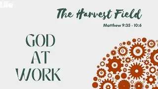 God at work - The Harvest Field