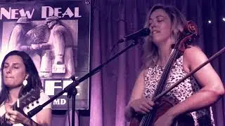 Wicked Sycamore, LIVE at the New Deal cafe