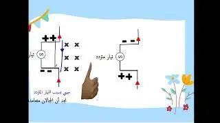 قصة ماكسويل و الموجات الكهرومغناطيسية و ظهور المجالات المتعامدة وخصائص الموجات الكهرومغناطيسية
