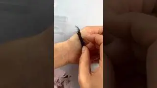 eyelash adhesive  eyeliner pen