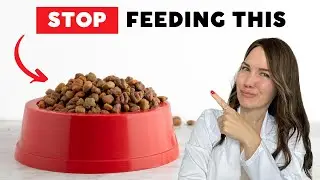 WORST Pet Food Ingredients (According to a Vet)