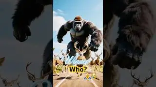 Gorilla vs. Deer : Who Wins?