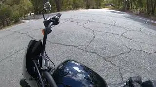 Softail Streetbob 114 Radguard oil cooler guard.