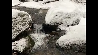 The influences of the Winter/Water energy on our body/mind/spirits
