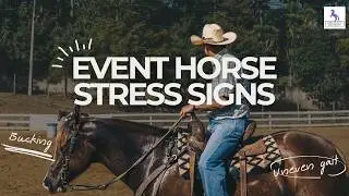 Event Horse Stress Signs Explained