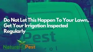 DIYPCP#87 Do Not Let This Happen To Your Beautiful Lawn, Get Your Irrigation  System Inspected Re...