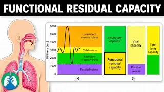 Functional Residual Capacity (FRC) | Quick Explainer Video