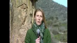 prima inseme telepaese 014