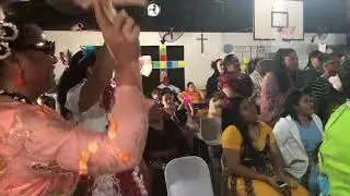 Hiva Lahi Brisbane STT- Hainite