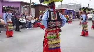 Danza San Francisco De Asis  