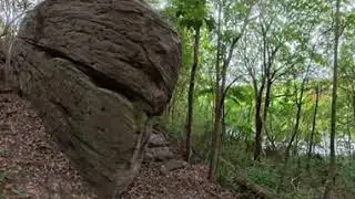 360&deg; Walk Through Lane Cove | Arise By Meriton (Hidden Gem) | Relaxing Nature Walk