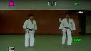 GENSEIRYU KARATE-O NANBEIKAI HONBU DOJO DO BRASIL