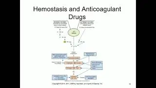 Pathophysiology lectures by Dr. Saudi, Chapter 10, Blood and circulatory disorders, Latest