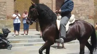 Feria de Mayo - May Fiesta - Costa Blanca, Spain