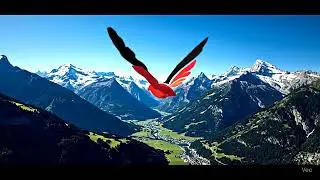 flightunit- Soar Above