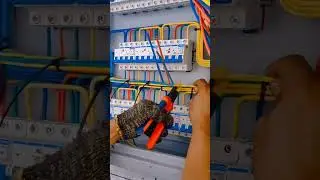 Beautiful cable management skills! Amazing!#cablemanagement  #network #networkengineers