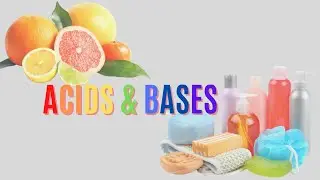 ACID AND BASES | N Level | O Level | Pure Chemistry