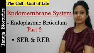 Cell : The Unit of Life - Endomembrane System | Endoplasmic Reticulum Part-2 | SER and RER |Class 11