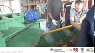 Coconut wood veneer peeling