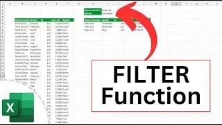 How to use the FILTER Function in Excel (Many Use Cases)