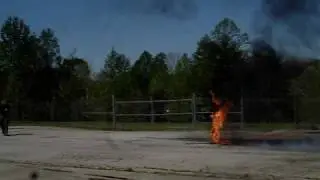 MOV08747
