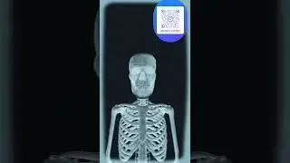 dancing skeleton