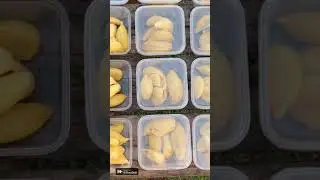 Kupas 1tan durian!!!